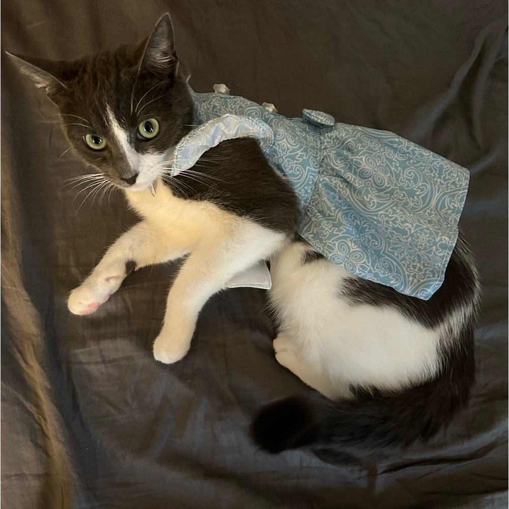 Meet your Posher, Aida